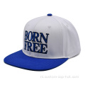 Groothandel dubbele kleur platte borduurwerk snapback cap
